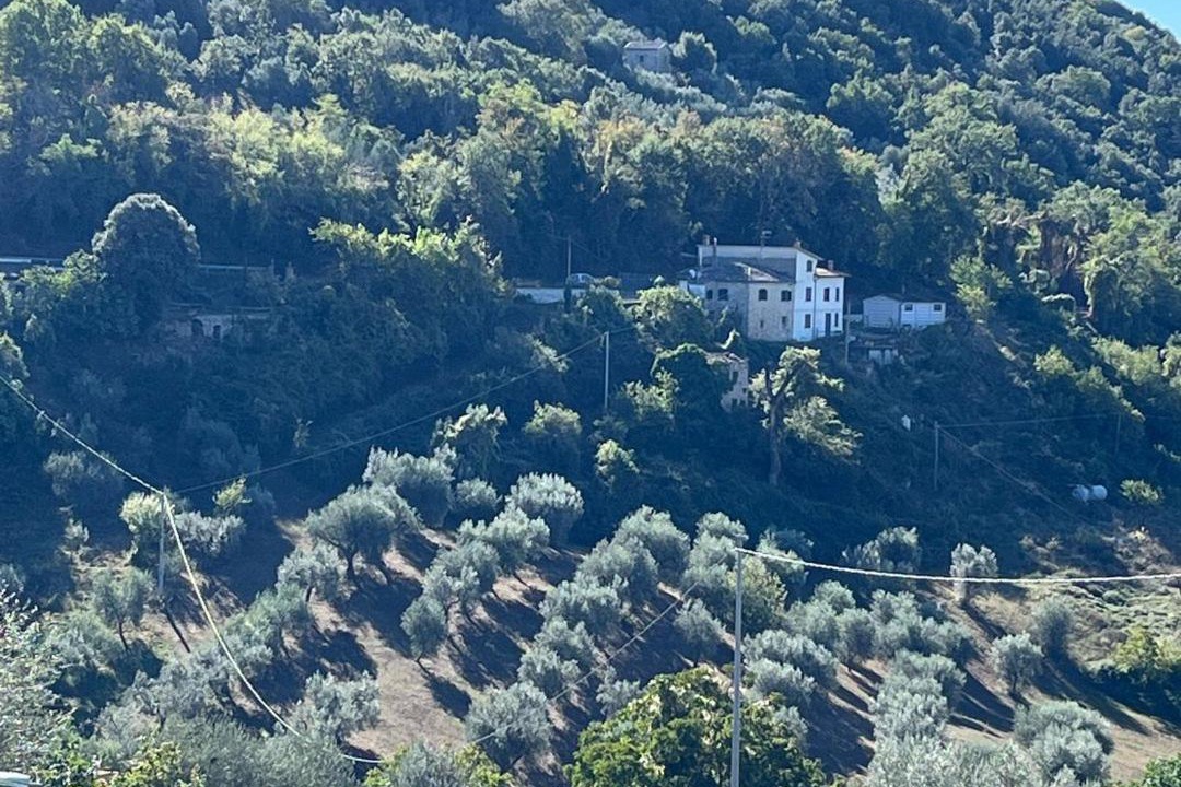 Photo of Others in Casperia