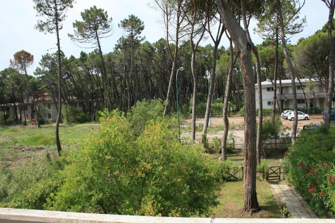 Photo of Others in Principina a Mare