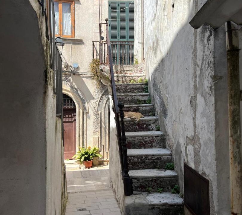 Photo of Others in Ischitella