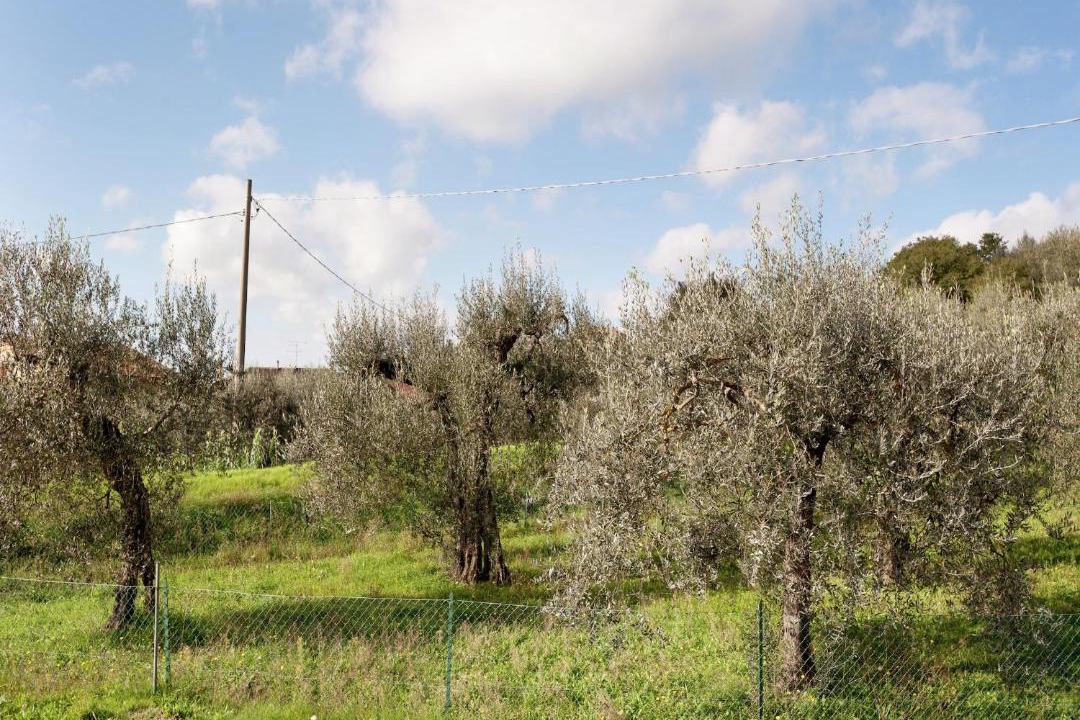 Photo of Others in Monte del Lago