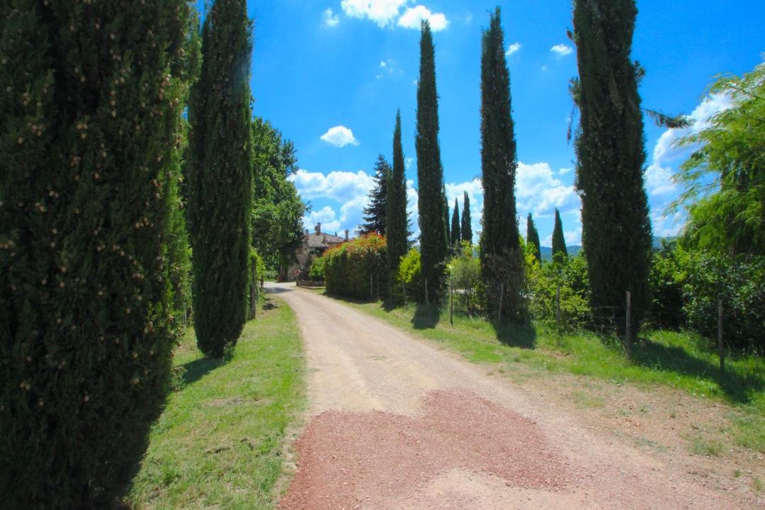 Photo of Others in San Venanzo