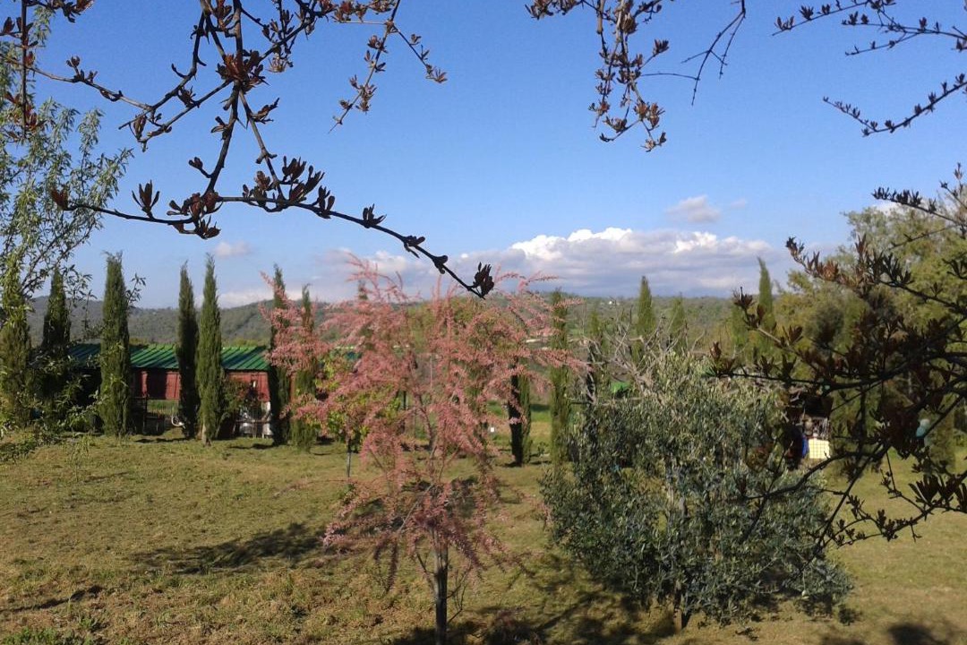 Photo of Others in Pancole