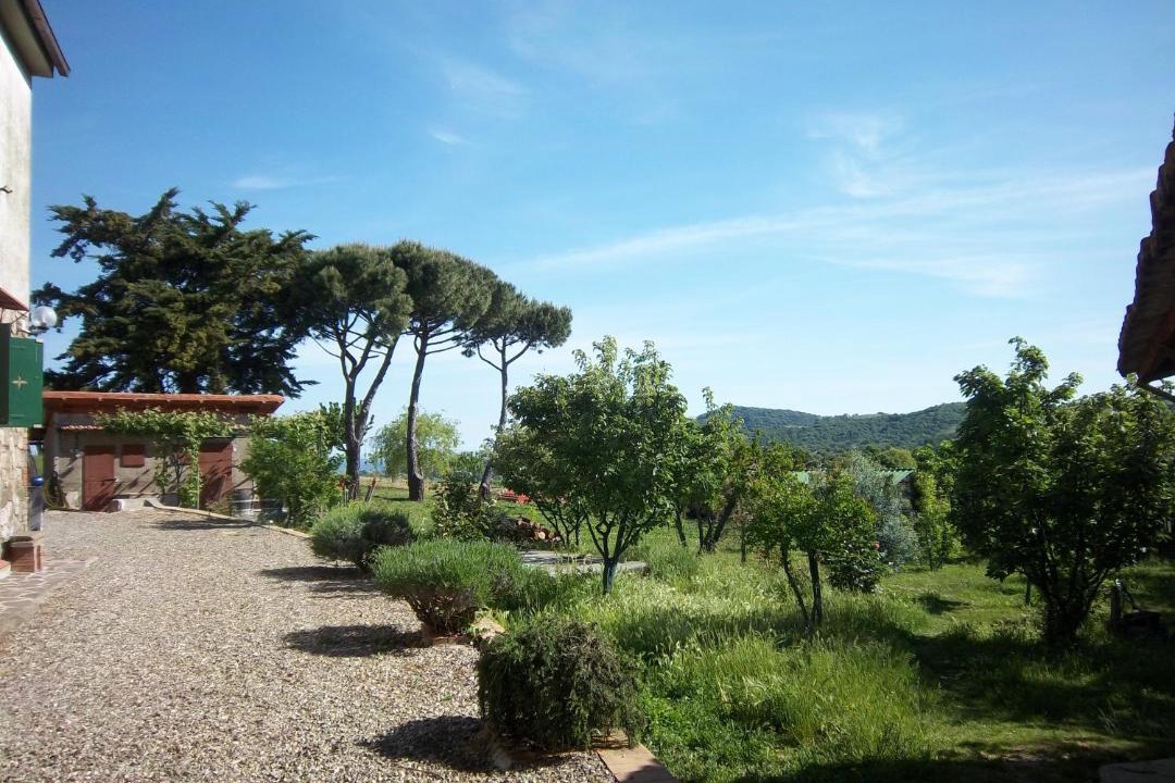 Photo of Others in Pancole