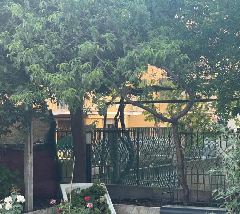 Photo of Others in Prenestino-Centocelle