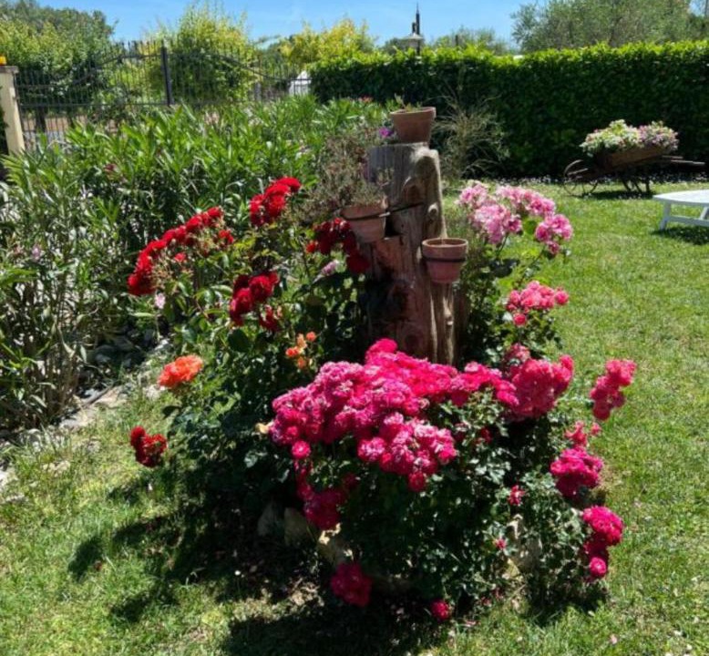 Photo of Others in Petrignano