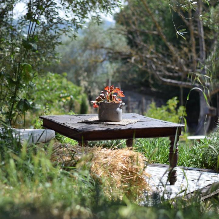 Photo of Others in Calcata