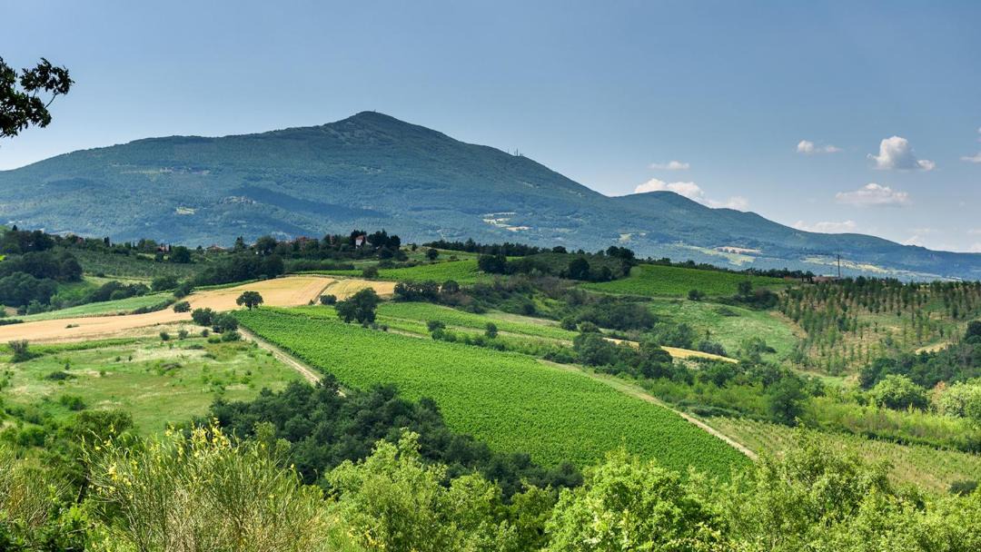 Photo of Others in San Casciano dei Bagni