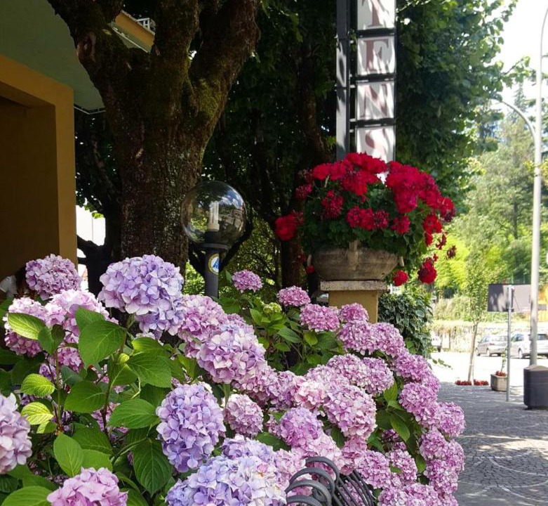 Photo of Others in Fiuggi