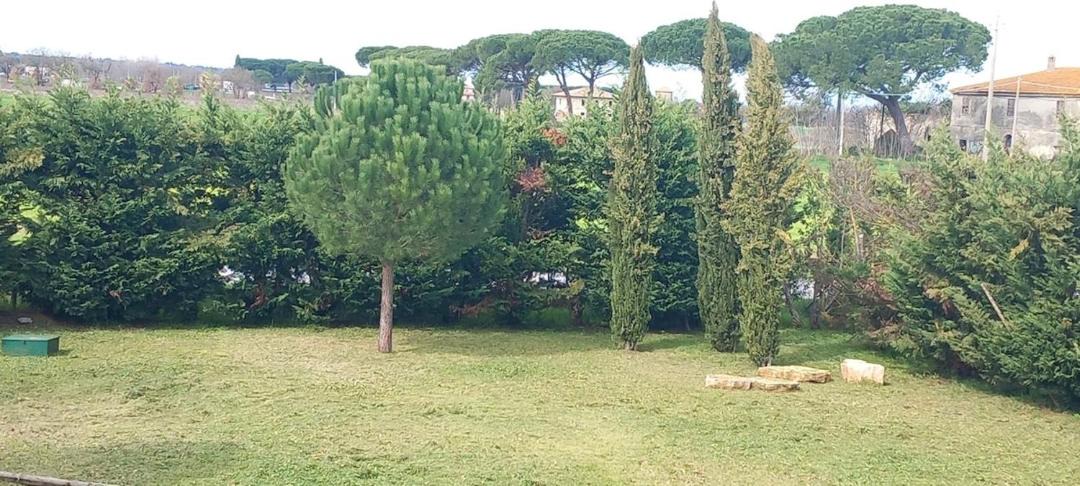 Photo of Others in Castiglione del Lago