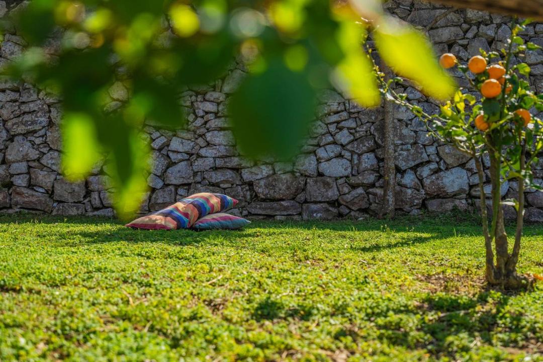 Photo of Others in Monte Chiaro