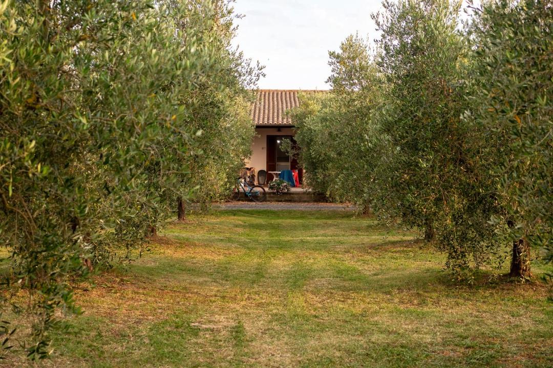 Photo of Others in Alberese