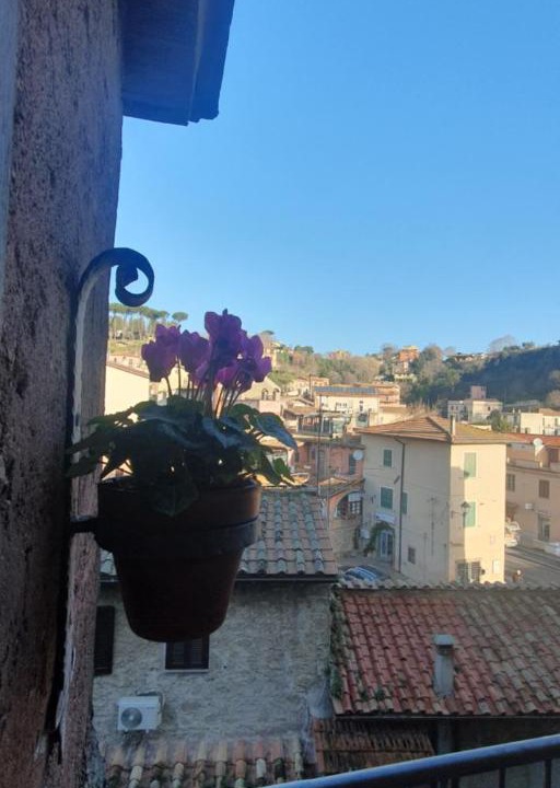 Photo of Others in Sacrofano