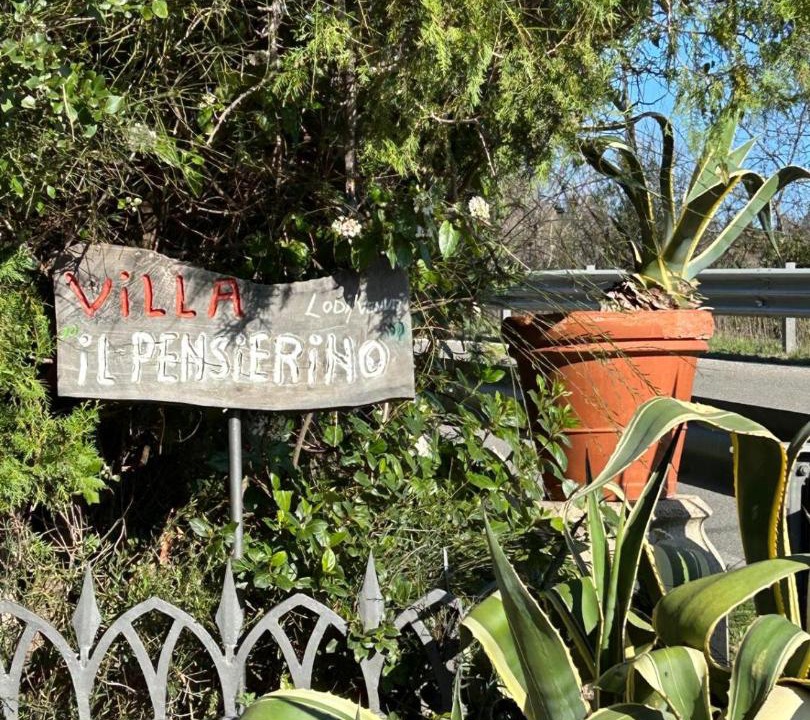 Photo of Others in Saturnia