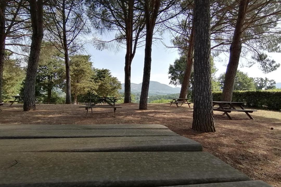 Photo of Others in Montorio Romano