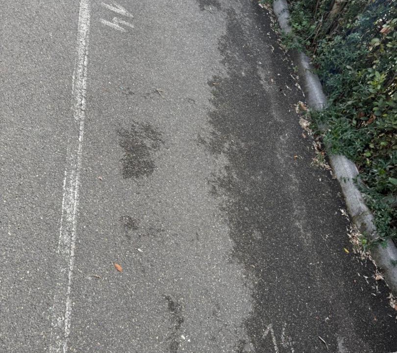 Photo of Others in Quartiere XXI Pietralata