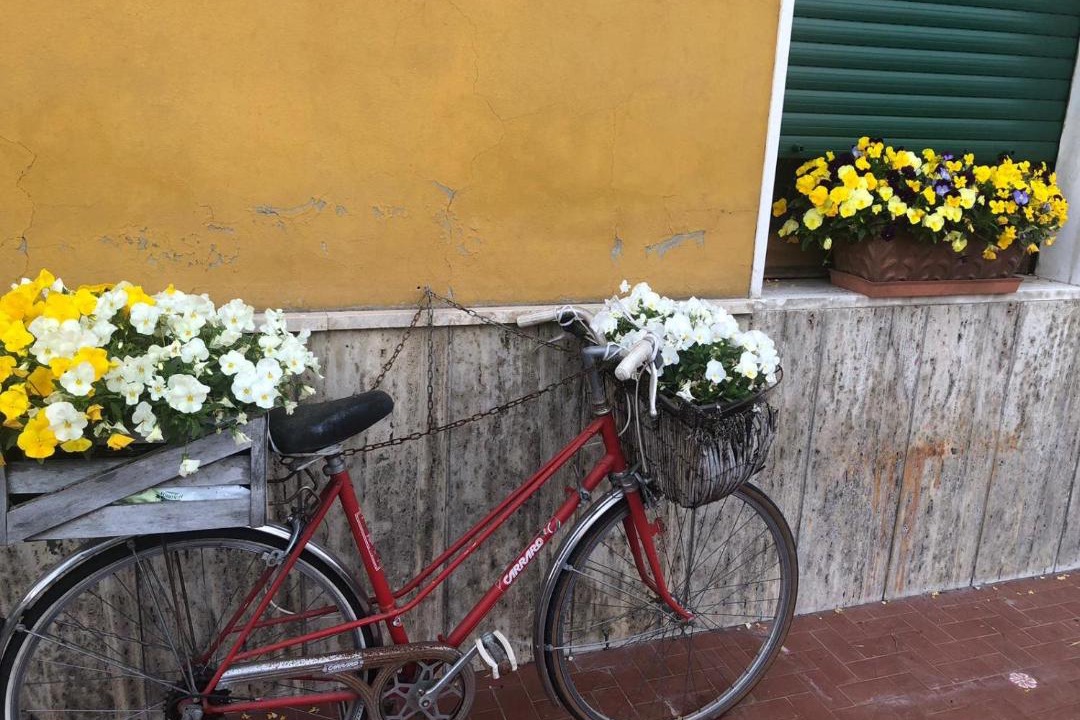 Photo of Others in Arpino
