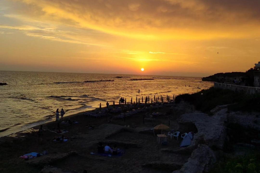 Photo of Others in Anzio