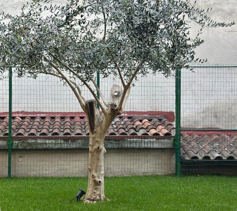 Photo of Others in Acquasparta