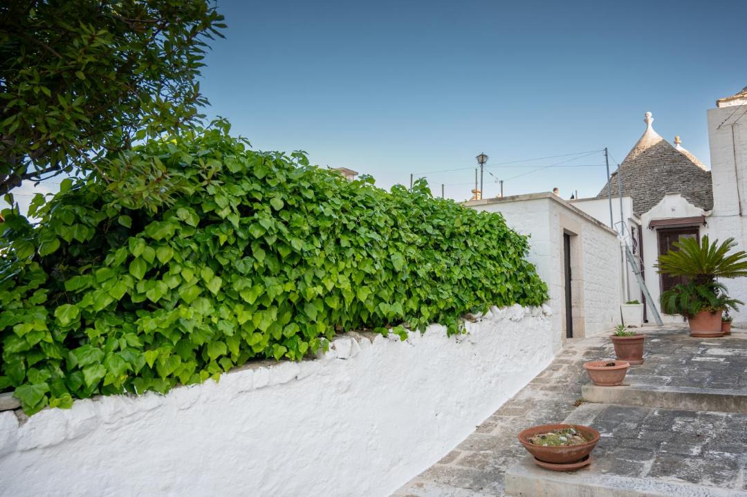Photo of Others in The Trulli of Alberobello