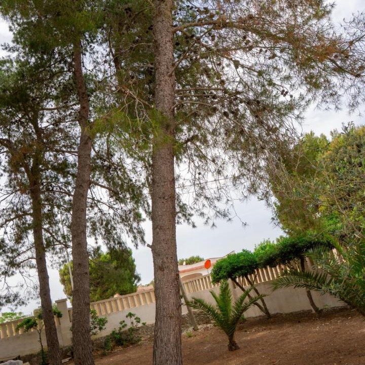 Photo of Others in Maruggio