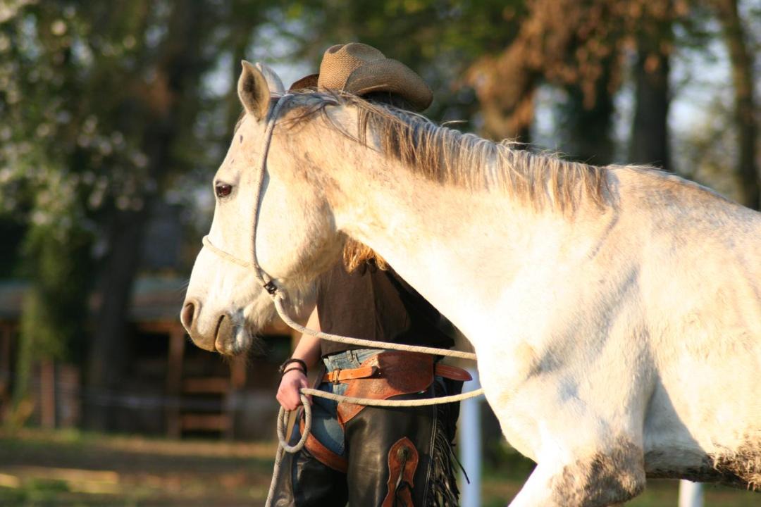 Photo of Others in Manziana