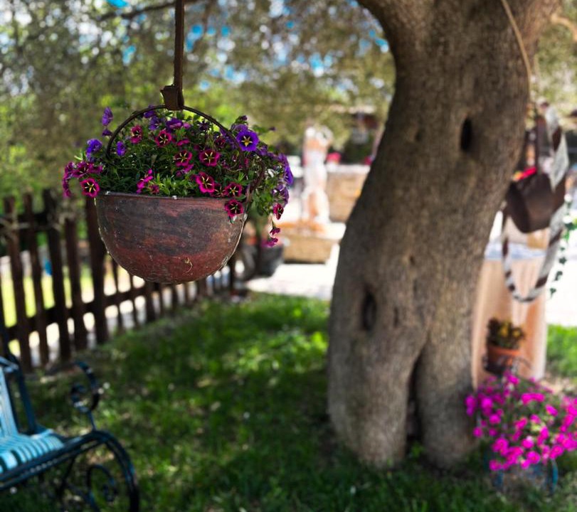 Photo of Others in Arpino
