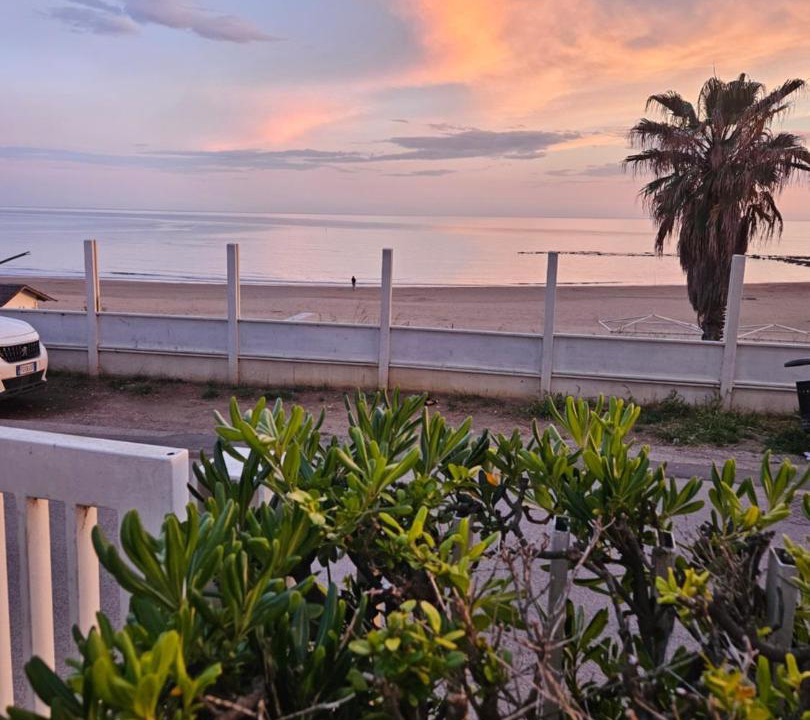 Photo of Others in Nettuno