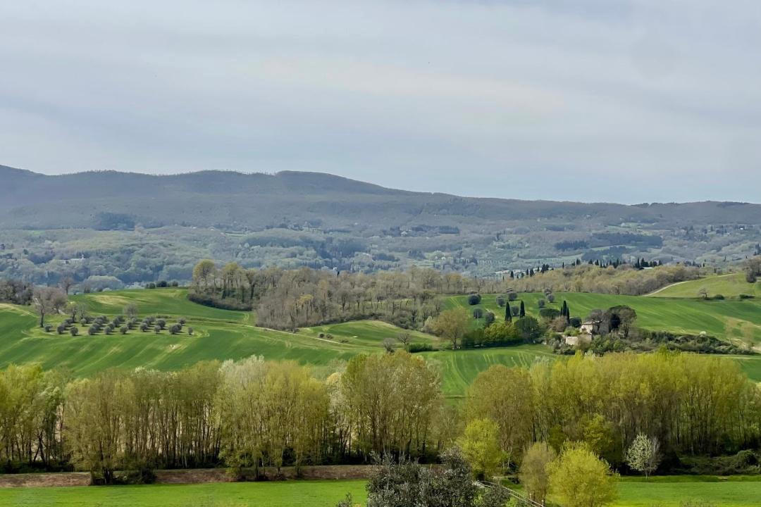 Photo of Others in Po' Bandino