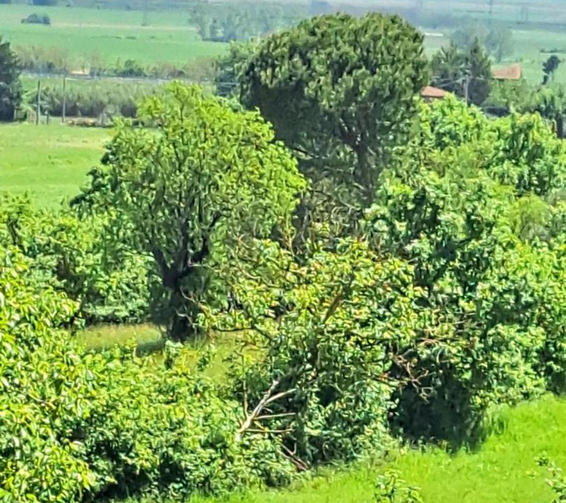 Photo of Others in Acquaviva