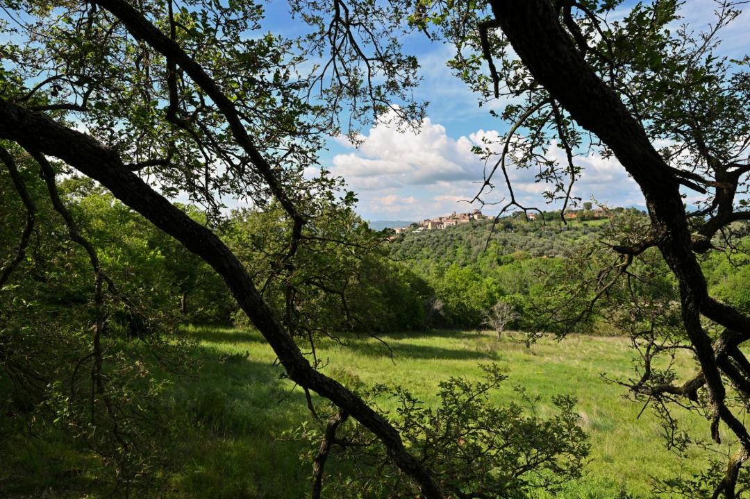 Photo of Others in Manciano