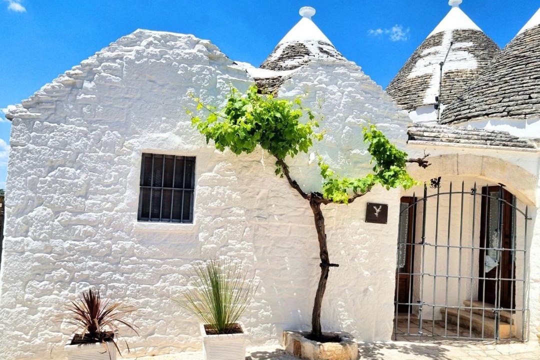 Photo of Others in The Trulli of Alberobello