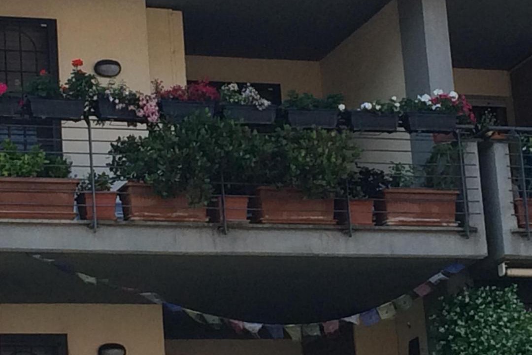 Photo of Others in Zona XL Magliana Vecchia