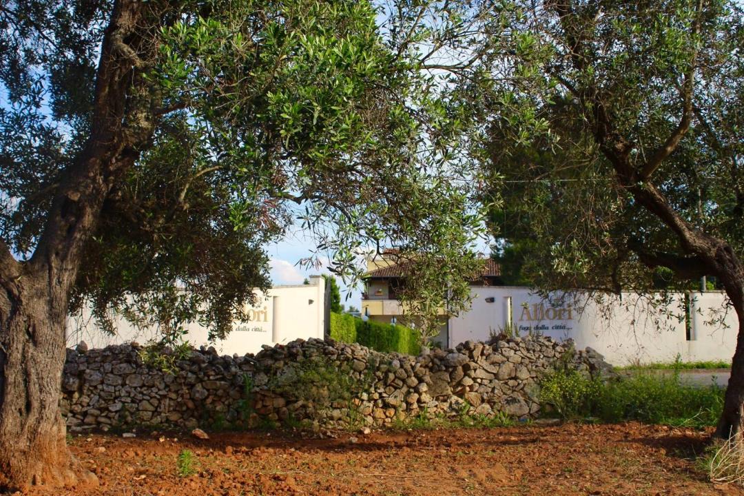Photo of Others in Leverano