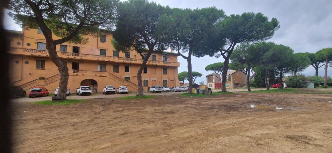 Photo of Others in Tragliatella