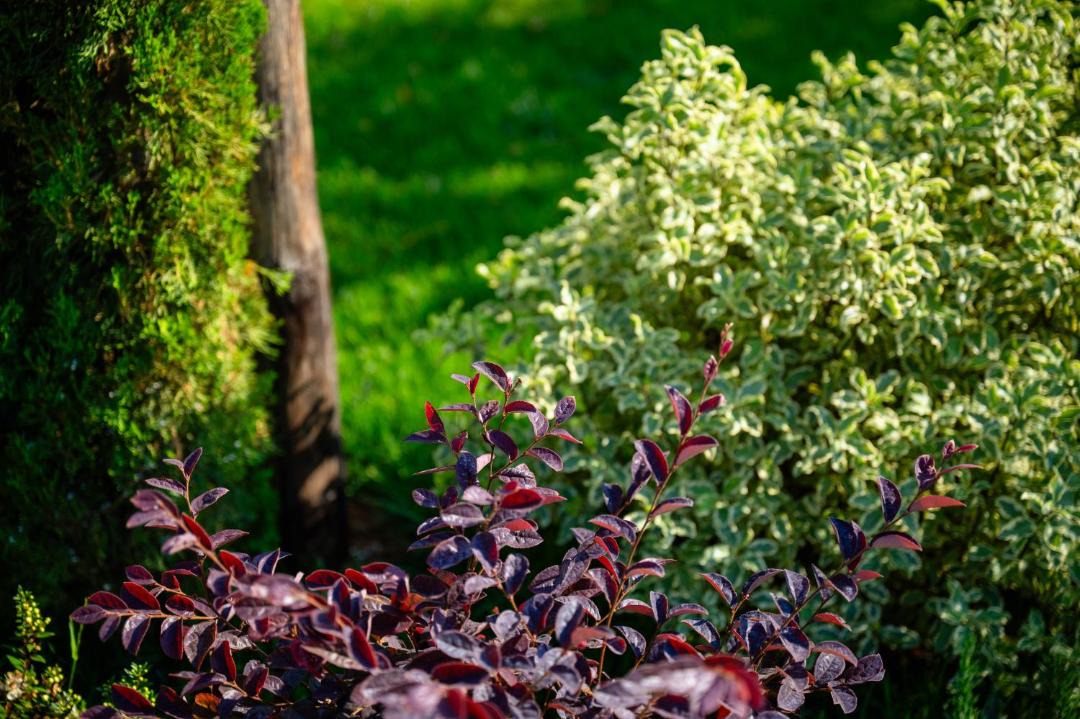 Photo of Outdoor in Terracina