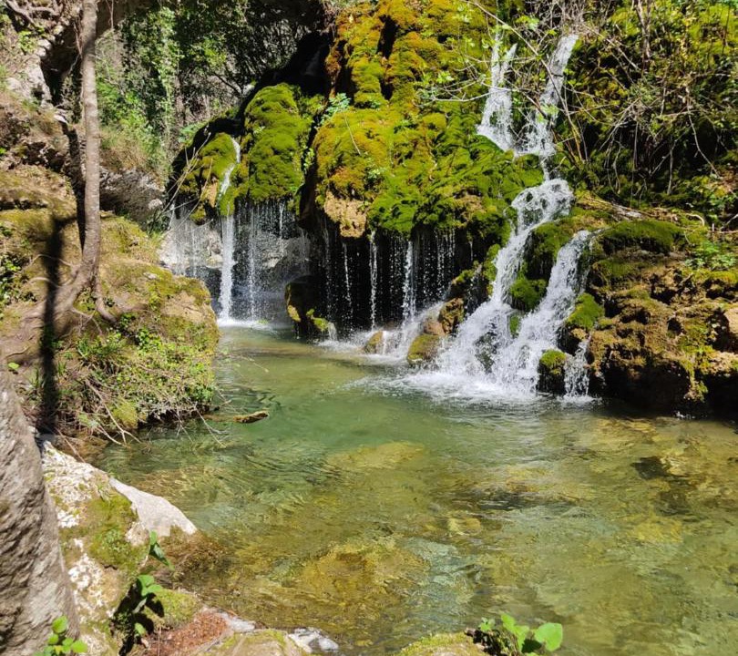 Photo of Others in Ogliastro Cilento