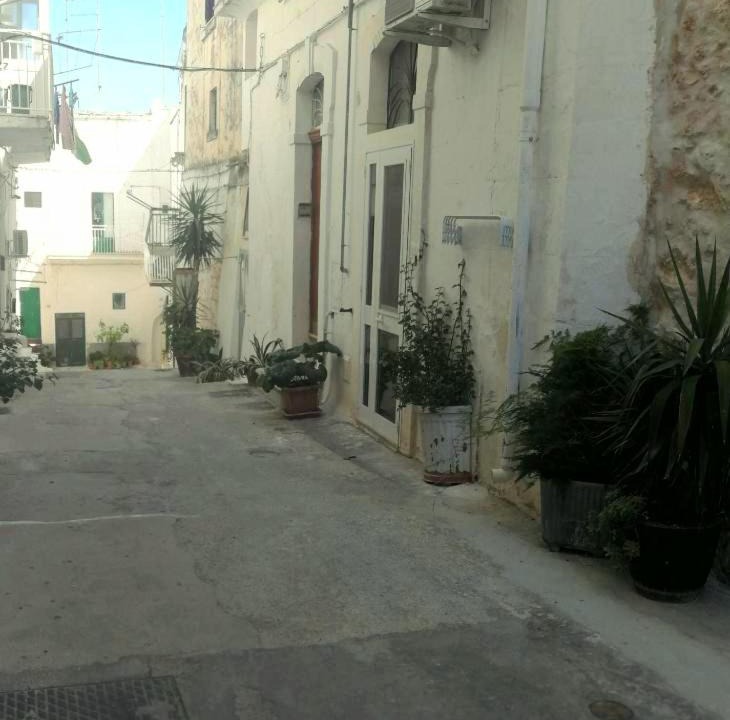 Photo of Others in Ostuni