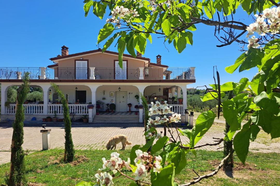 Photo of Others in Fiano Romano