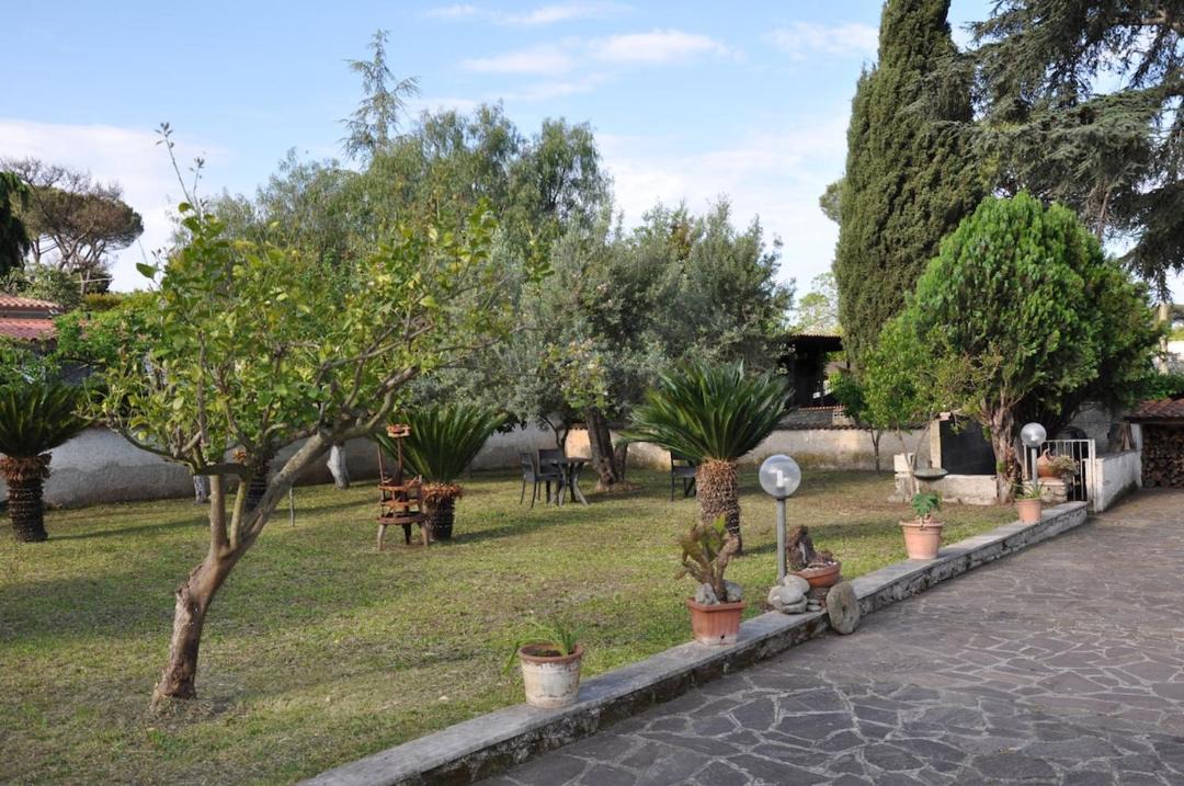 Photo of Others in Monte Migliore-La Selvotta