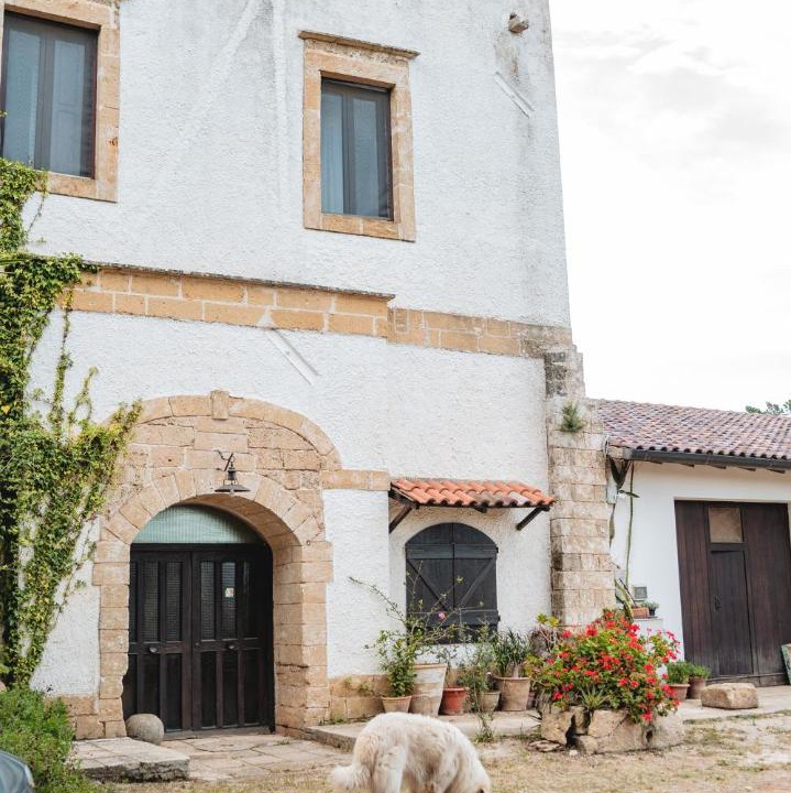 Photo of Others in Torchiarolo