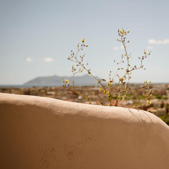 Photo of Others in Terracina