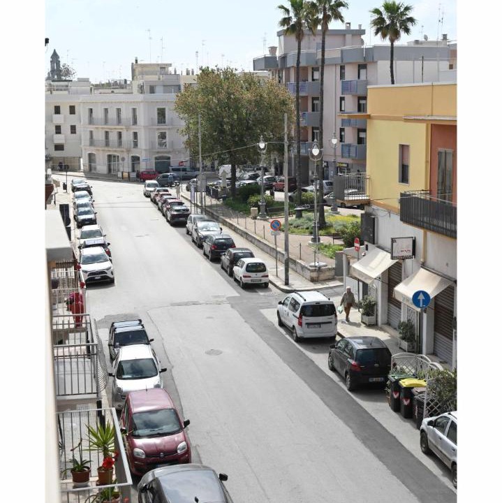 Photo of Others in Mola di Bari