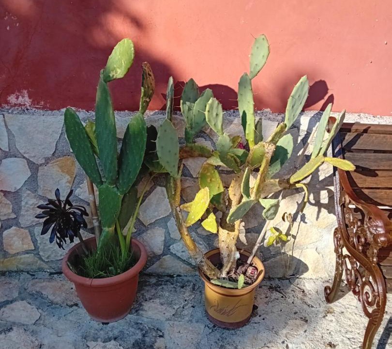 Photo of Others in San Giorgio a Liri