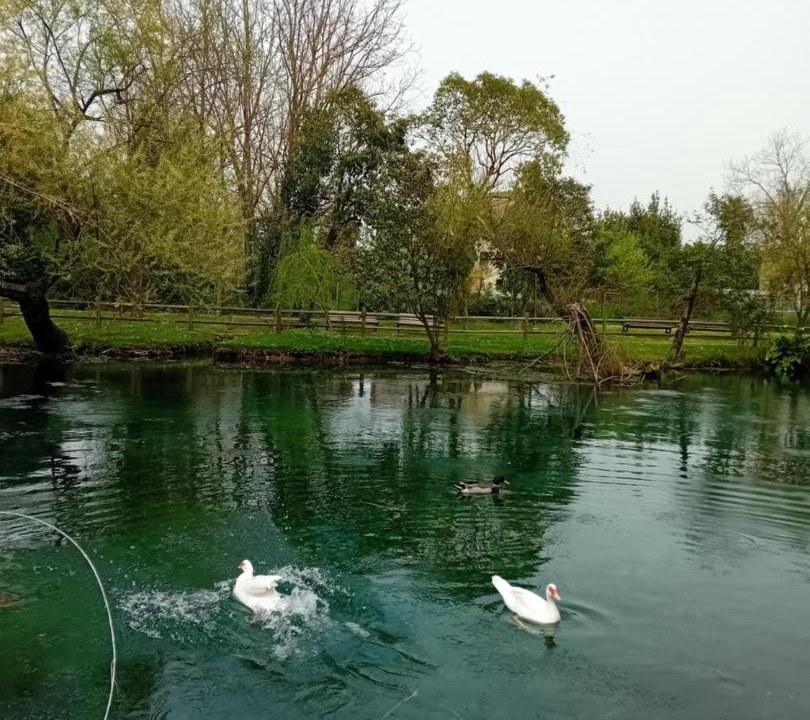 Photo of Others in San Giorgio a Liri