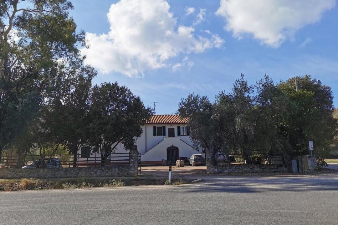 Photo of Others in Alberese