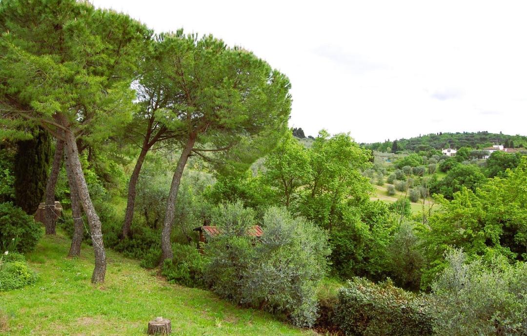 Photo of Others in Lastra a Signa