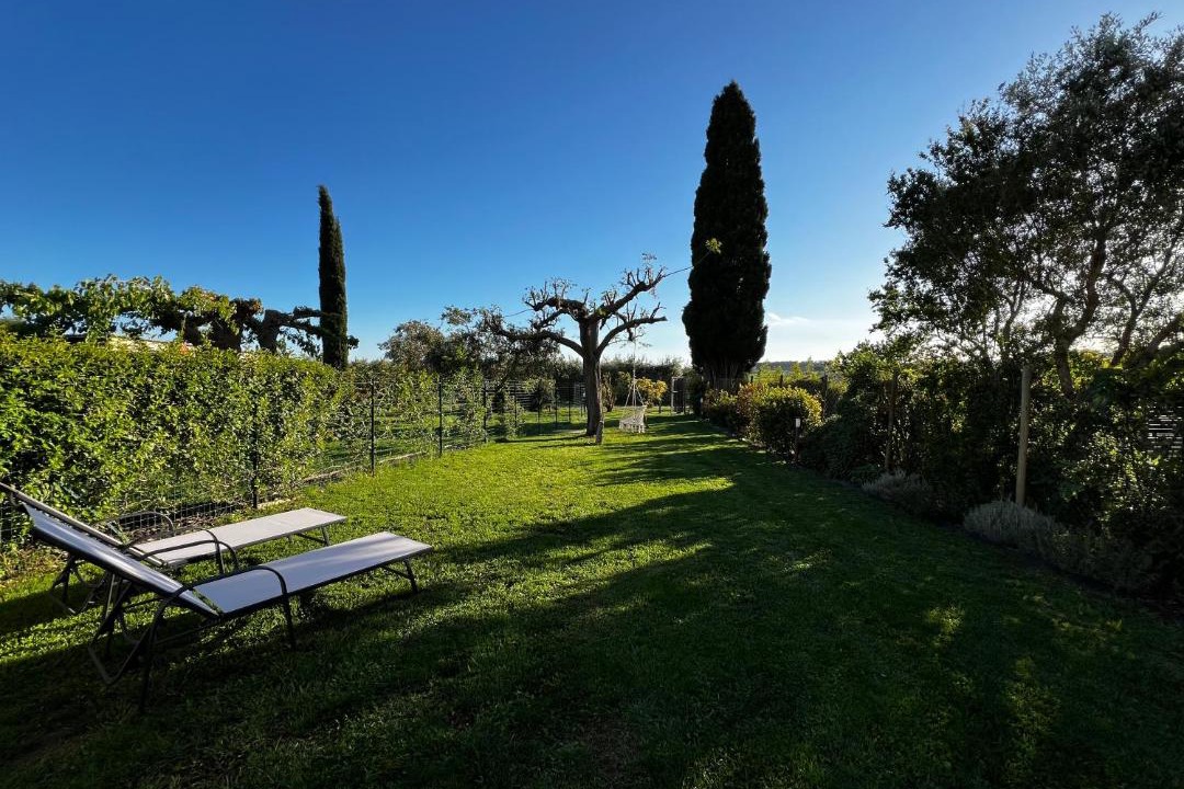 Photo of Others in Magliano in Toscana