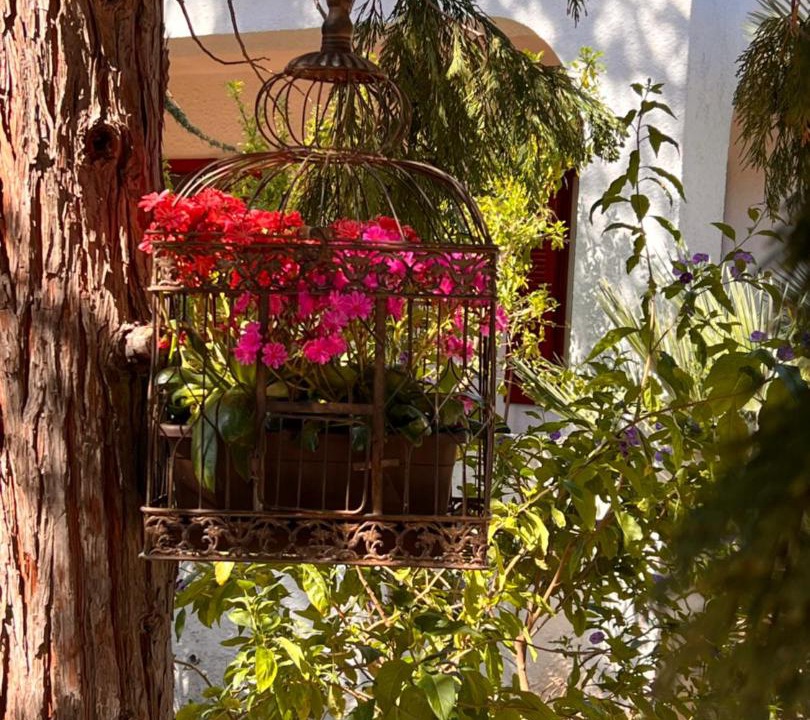 Photo of Others in Bisceglie