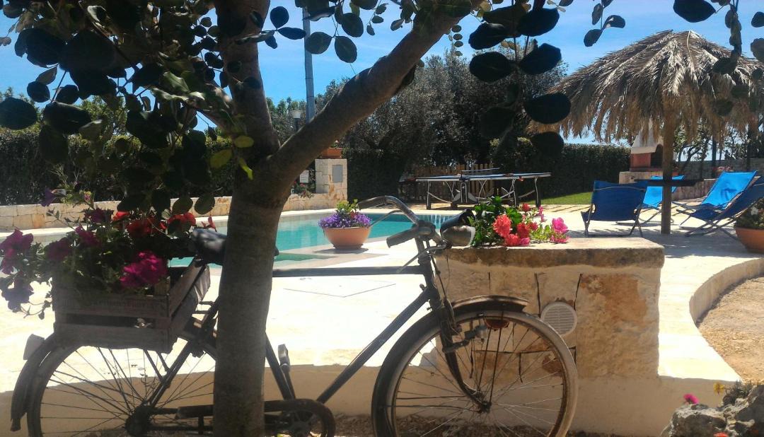 Photo of Others in Martina Franca
