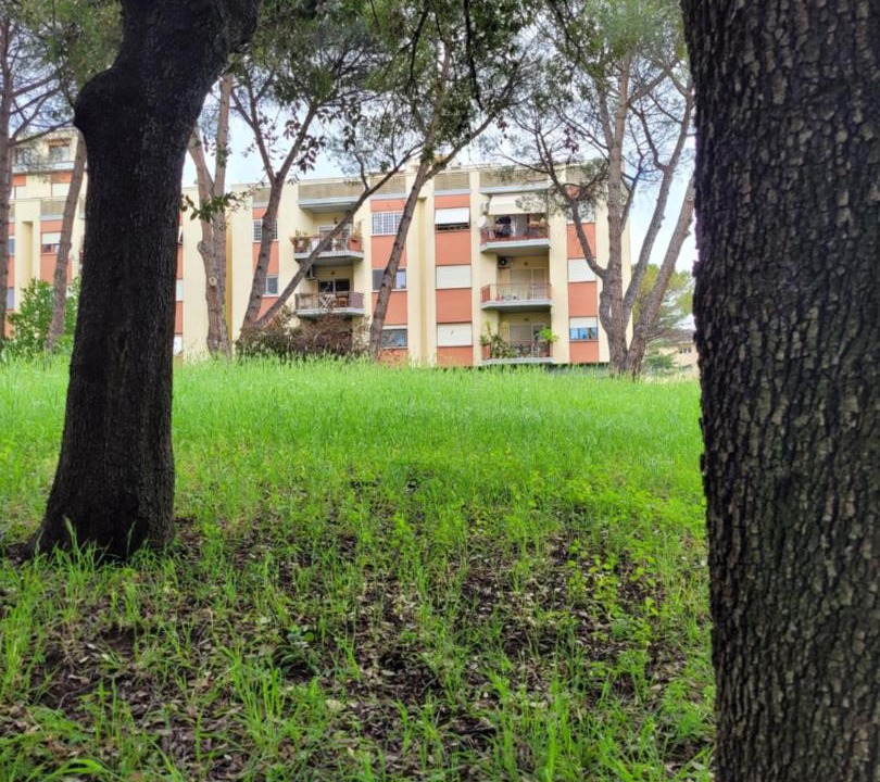 Photo of Others in Torrino